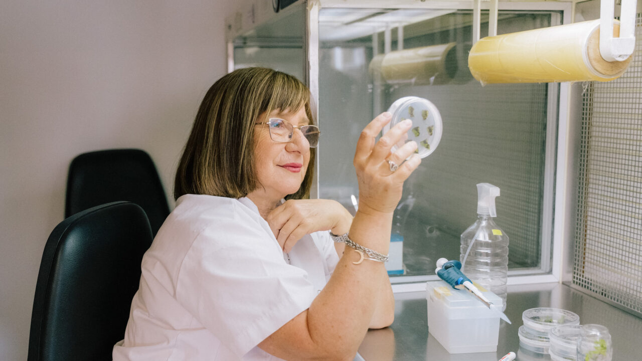 Premio L’Oréal-UNESCO 2026: cinco científicas que están transformando el futuro de la salud, el ambiente y la innovación